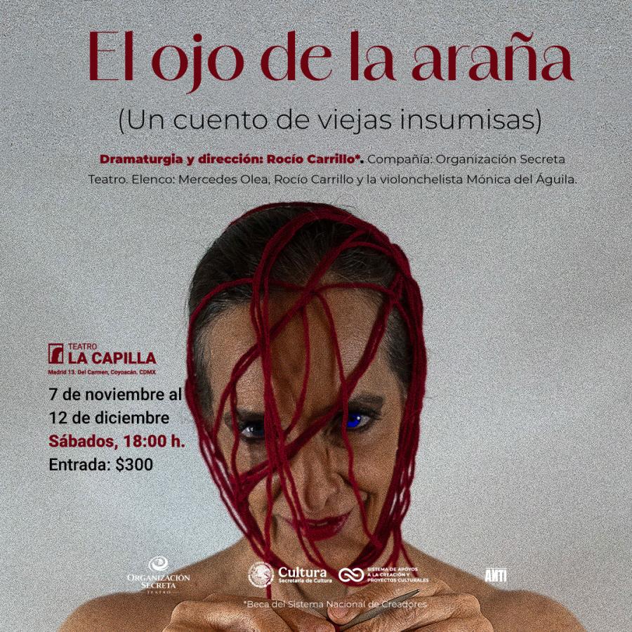 El ojo de la araña (Un cuento de viejas insumisas) #1126